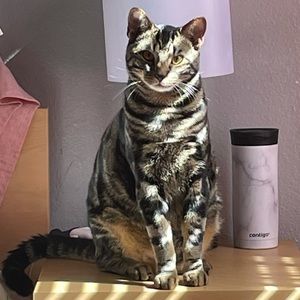 Meet your Posher, Sienna